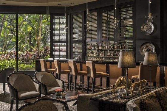 Hotellobby Luxus   Stuhl u. Schreibtisch-Stuhl u. Restaurant, die Stuhl-Möbel speisen